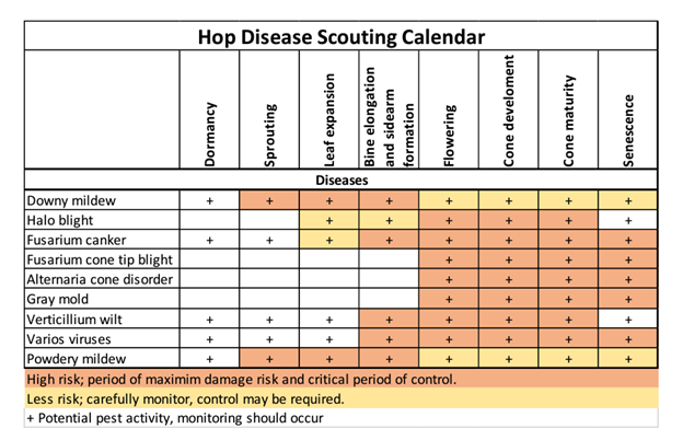 A table showing when prevalent hop diseases take place.